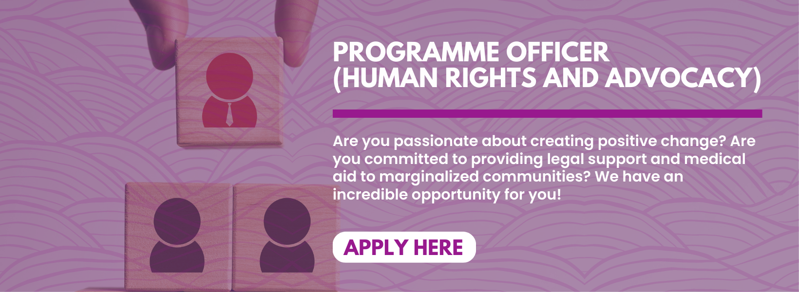 We Are Hiring: Programme Officer (Human Rights And Advocacy)  Wanted